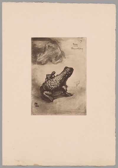 Japonisme by Felix Hilaire Buhot