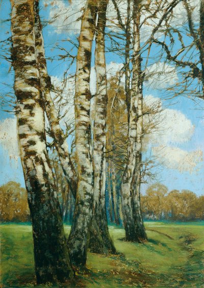 Birches by Ferdinand Engelmuller