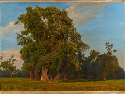 Large Prater Landscape by Ferdinand Georg Waldmuller