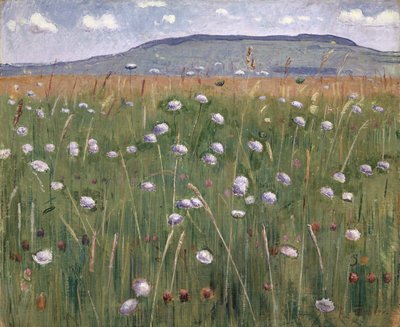 Meadow Piece, c.1901 by Ferdinand Hodler