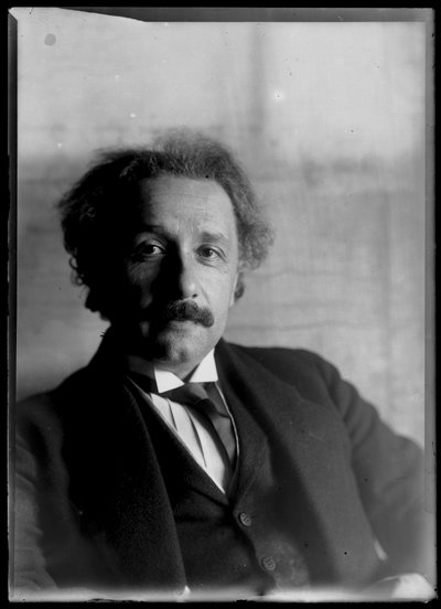 Albert Einstein (1879-1955) by Ferdinand Schmutzer