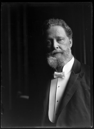 Portrait of Charles Lueger (1897-1910) by Ferdinand Schmutzer