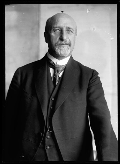 Picture of Karl Seitz (1869-1950) by Ferdinand Schmutzer