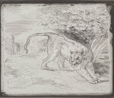 A Trapped Tiger by Ferdinand Victor Eugene Delacroix