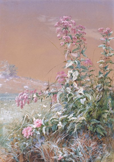 Untitled by Fidelia Bridges