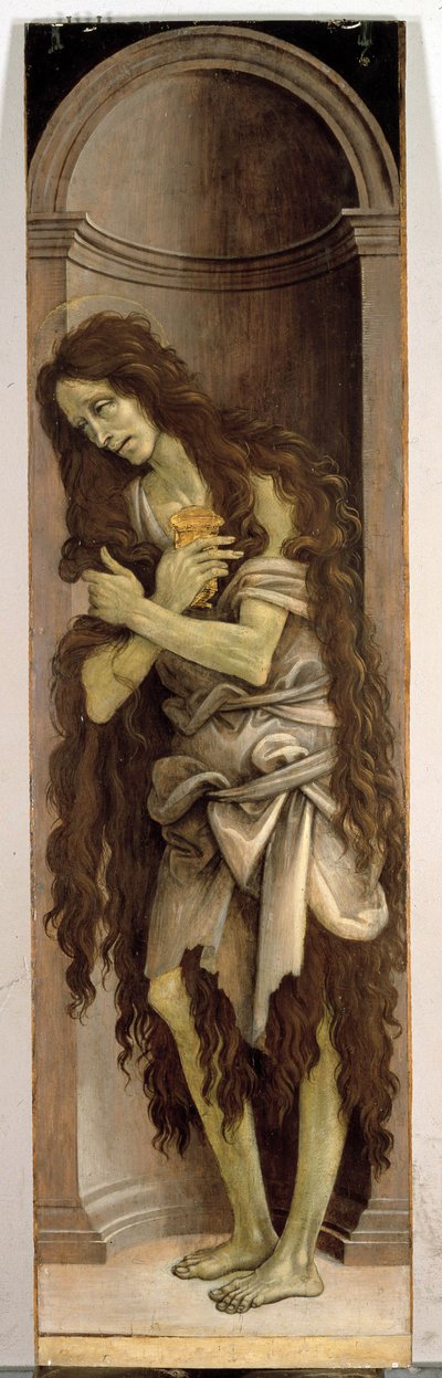 Unknown Image by Filippino Lippi