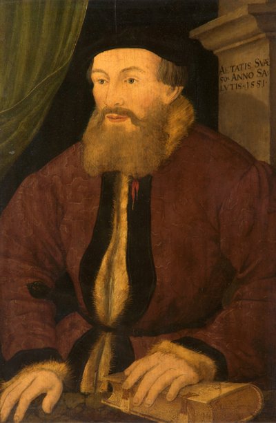 Portrait of a Man, 1551 by Flemish School