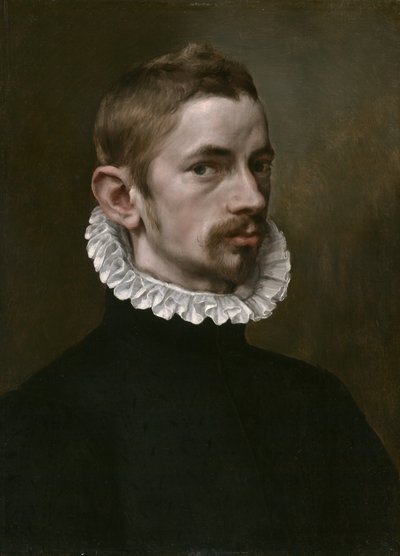 Portrait of a Man by Flemish School