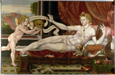Vanitas by Flemish School