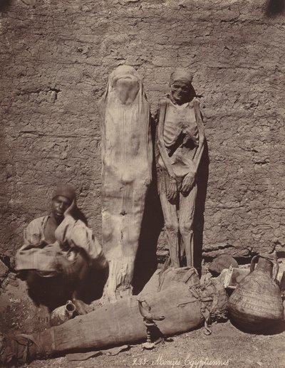 Egyptian Mummies by Félix Bonfils