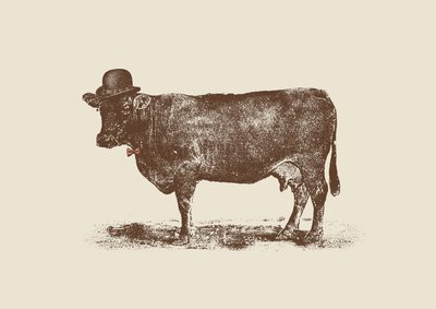 Cow Cow Nut by Florent Bodart