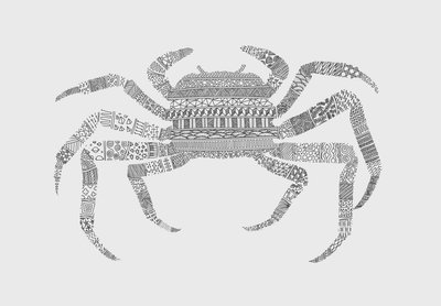 Crab by Florent Bodart