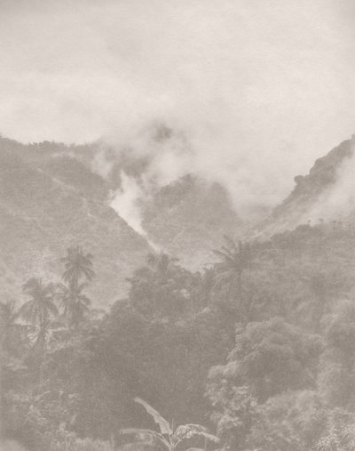 Foggy Jungle 3, 2024 by Florent Bodart