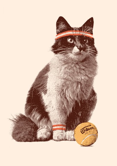 Tennis Cat, 2021 by Florent Bodart