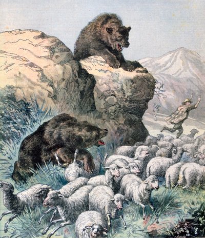 Bears of the Cagyre by Fortuné Méaulle