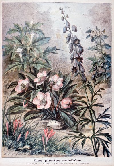 Harmful Plants by Fortuné Méaulle