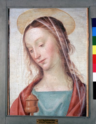 Unknown Image by Fra Bartolomeo