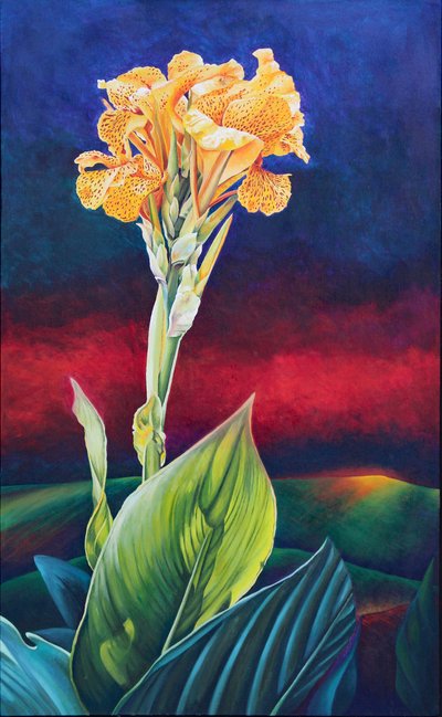 Yellow Canna Lily by Frances Ferdinands