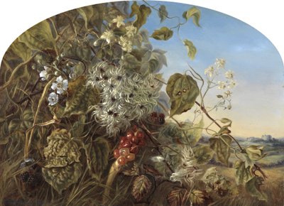 An Autumn Hedgerow near Carisbrooke by Frances Minns
