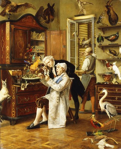 The Taxidermist by Francesco Brunery