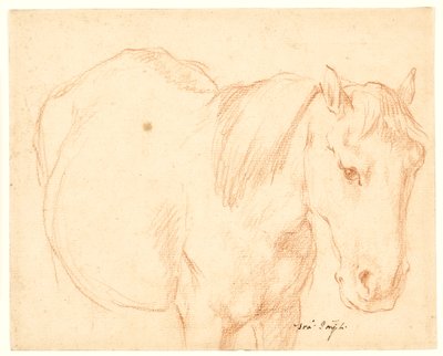 A Horse by Francesco Fernandi