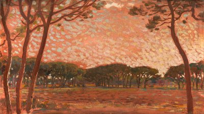Pinewood in Maremma by Francesco Gioli