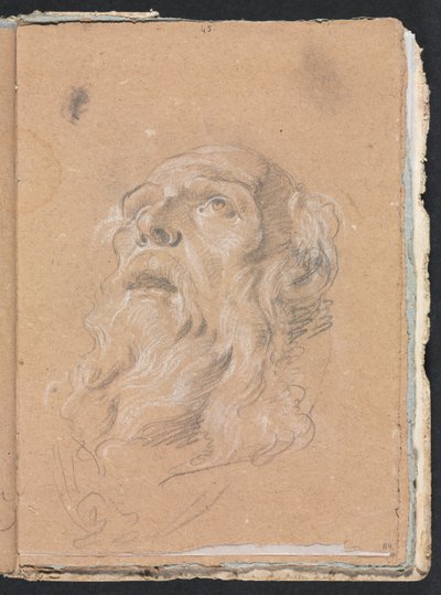Verona Sketchbook: Male head (page 89) by Francesco Lorenzi