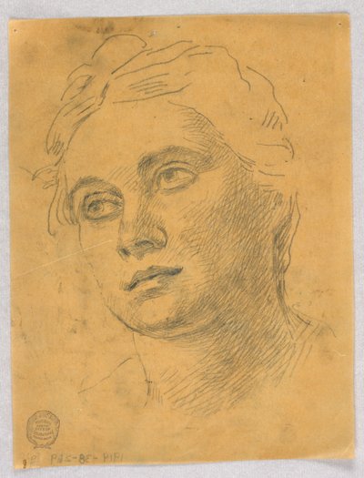 Head of a Woman by Francis Augustus Lathrop