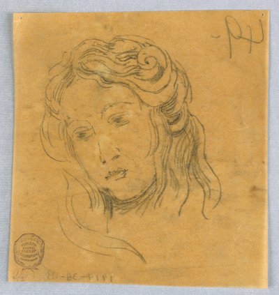 Sketch of Woman