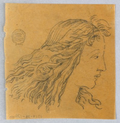 Sketch of Woman