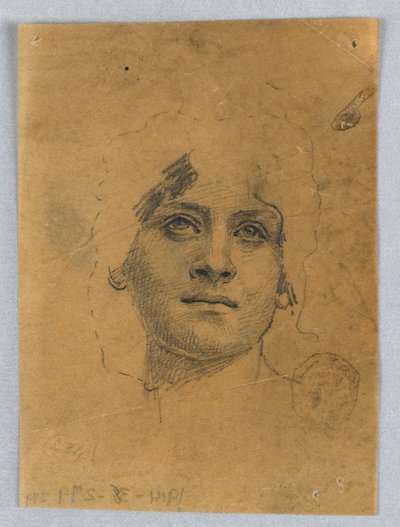 Sketch of a Woman