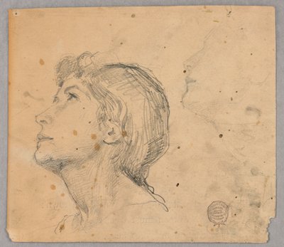 Sketch of a Woman