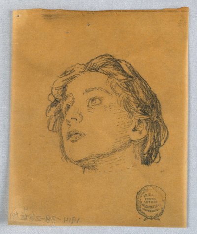 Sketch of a Woman