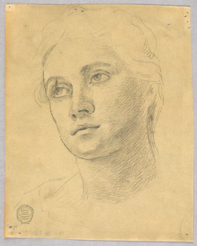 Sketch of a Woman