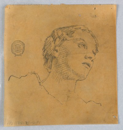 Sketch of a Woman