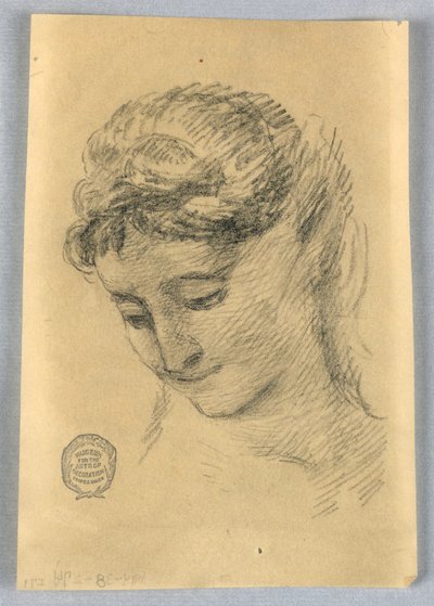 Sketch of a Woman