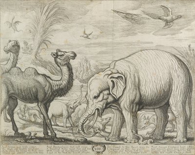 Africa by Francis Barlow