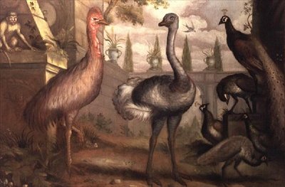 Collection of Birds by Francis Barlow