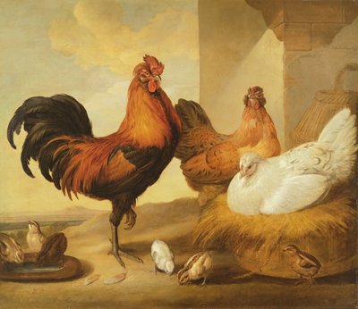 Domestic Cock, Hens and Chicks, 1655 by Francis Barlow