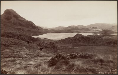 Arthog, Creigenen Lake by Francis Bedford