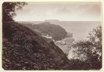 Clovelly from the Hobby, 1860-94 by Francis Bedford