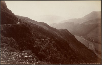 Dolgelley, the Precipice Walk by Francis Bedford