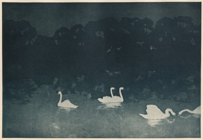 The Swans by Francis Jourdain