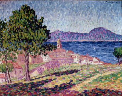 View of Saint Tropez, the Citadel by Francis Picabia