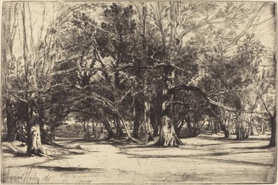 A By-Road in Tipperary by Francis Seymour Haden