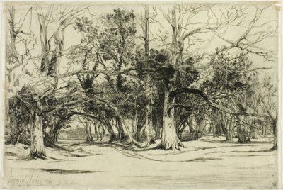 A By-Road in Tipperary by Francis Seymour Haden