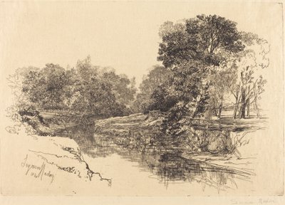 A River in Ireland by Francis Seymour Haden