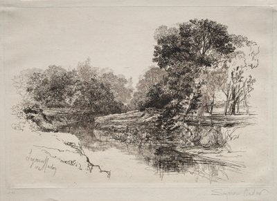 A River in Ireland by Francis Seymour Haden