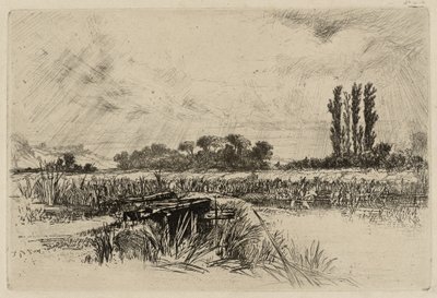 A Water Meadow by Francis Seymour Haden