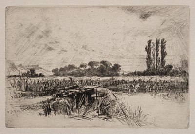 A Water Meadow by Francis Seymour Haden
